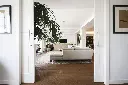 ROBLE AHUMADO.webp