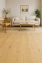 ChatGPT Image 10 abr 2025, 14_00_21.webp